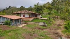 Finca La Maria del Pilar - Fredonia, Antioquia의 핀카